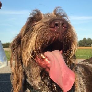 Meet your Posher, Sharon